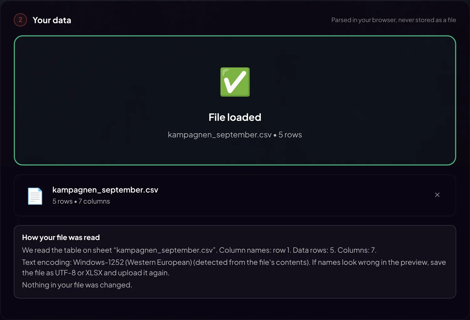 The Your data step with the panel How your file was read